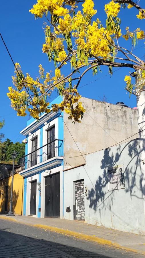 Departamentos Oaxaca Bonito Διαμέρισμα Εξωτερικό φωτογραφία