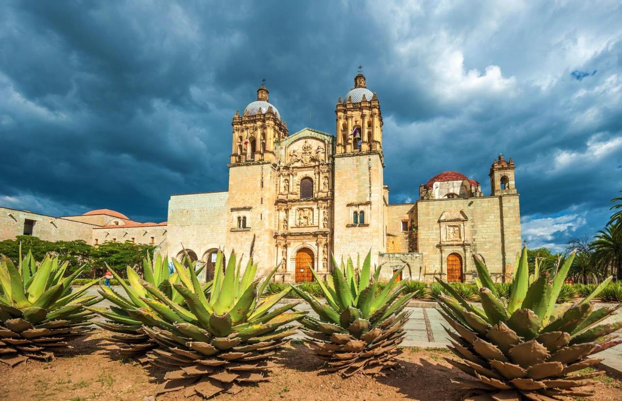 Departamentos Oaxaca Bonito Διαμέρισμα Εξωτερικό φωτογραφία
